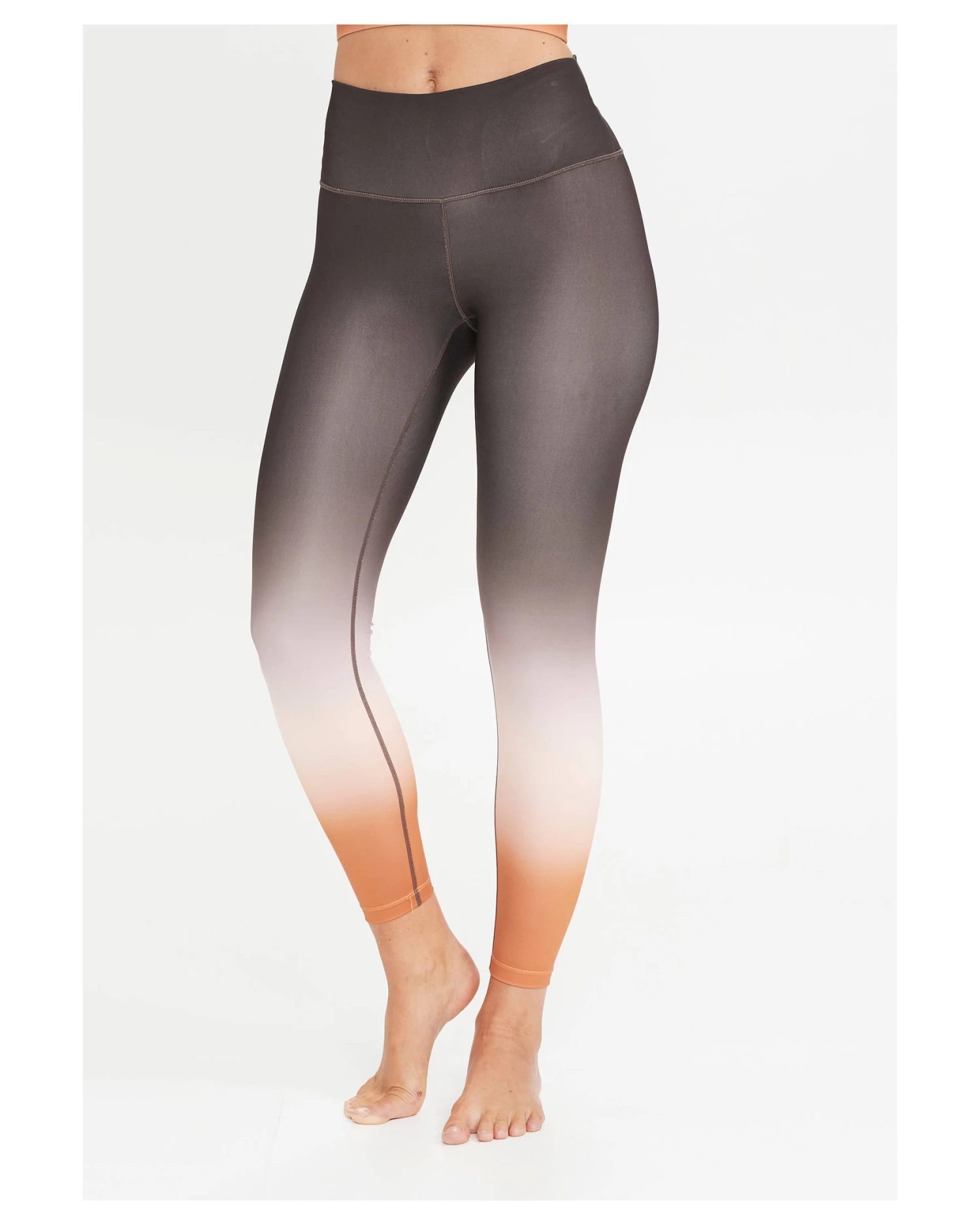 Athlecia Damen Trainingstights DOSHIA OMBRE MIST TIGHTS 7 Athlecia Damen Trainingstights DOSHIA OMBRE MIST TIGHTS – Bild 5