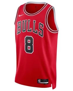 Nike Herren Basketballtrikot NBA ZACH LAVINE CHICAGO BULLS ICON EDITION 2022/23