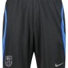 Nike Herren Fußballshorts FC BARCELONA STRIKE -Sportbekleidung engelhorn Nike Herren Fussballshorts FC BARCELONA STRIKE Vorderansicht V1076162D v1