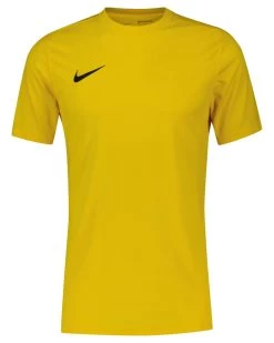 Nike Herren Fußballtrikot DRI-FIT PARK Kurzarm