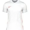 Nike Herren Fußball - Teamsport Textil - Trikots Dry GX1 Trikot -Sportbekleidung engelhorn partner Nike Herren Fussball Teamsport Textil Trikots Dry GX1 Trikot Vorderansicht V1080868X v1