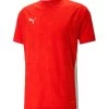 Puma Herren Fußball - Teamsport Textil - Trikots TeamCUP Trikot -Sportbekleidung engelhorn partner Puma Herren Fussball Teamsport Textil Trikots teamCUP Trikot Vorderansicht V1081162E v1